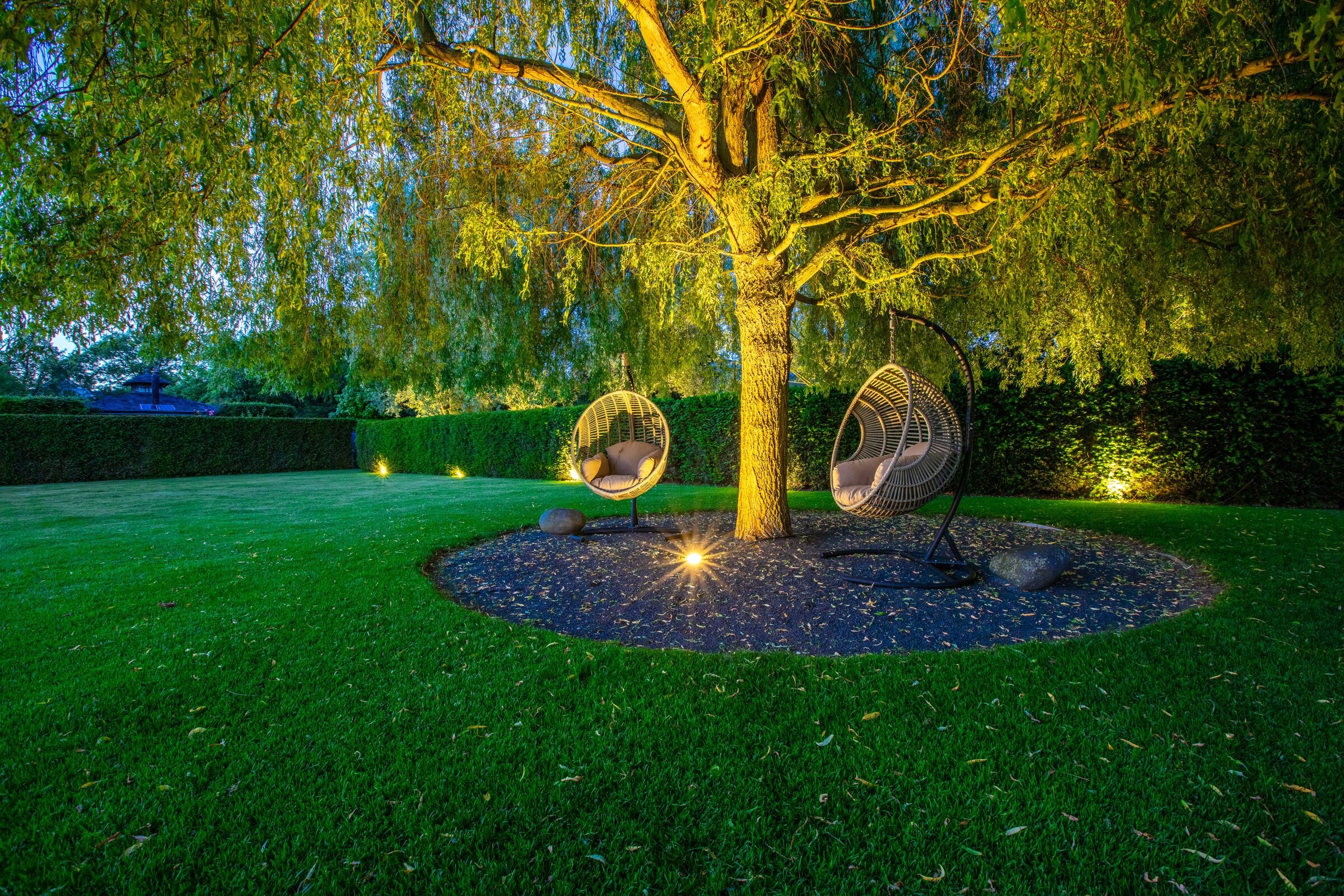 Trauerweide bei Nacht mit Gartenbeleuchtung